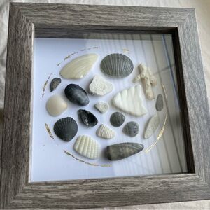 Coastal Shell Shadow Box Frame